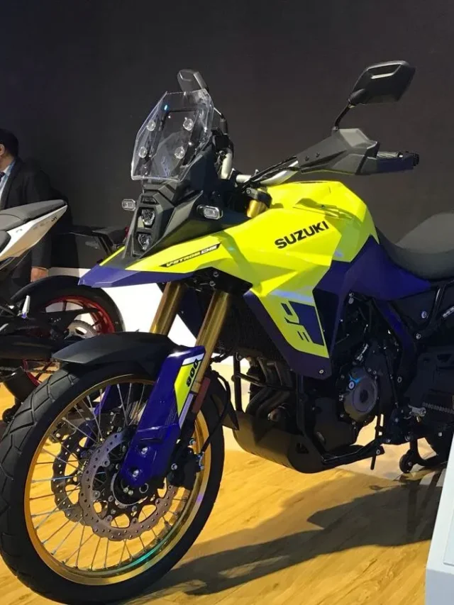 Suzuki_V_Strom_800_DE_1706786510