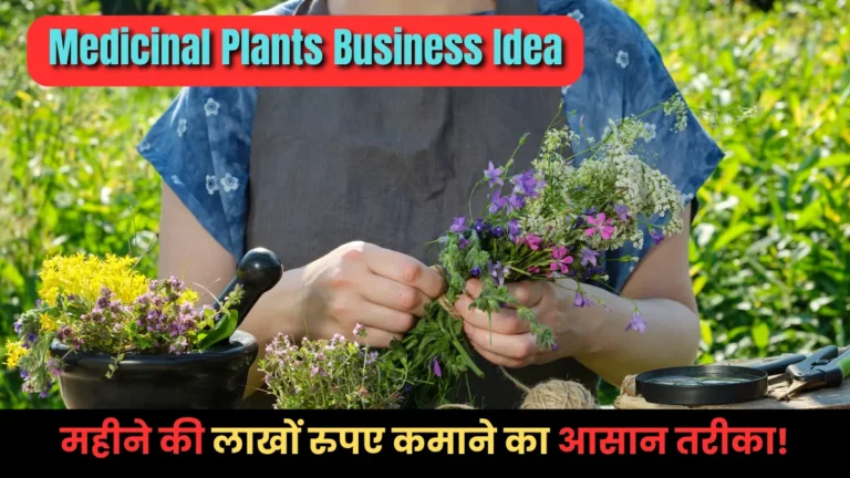 Medicinal Plants Business Idea