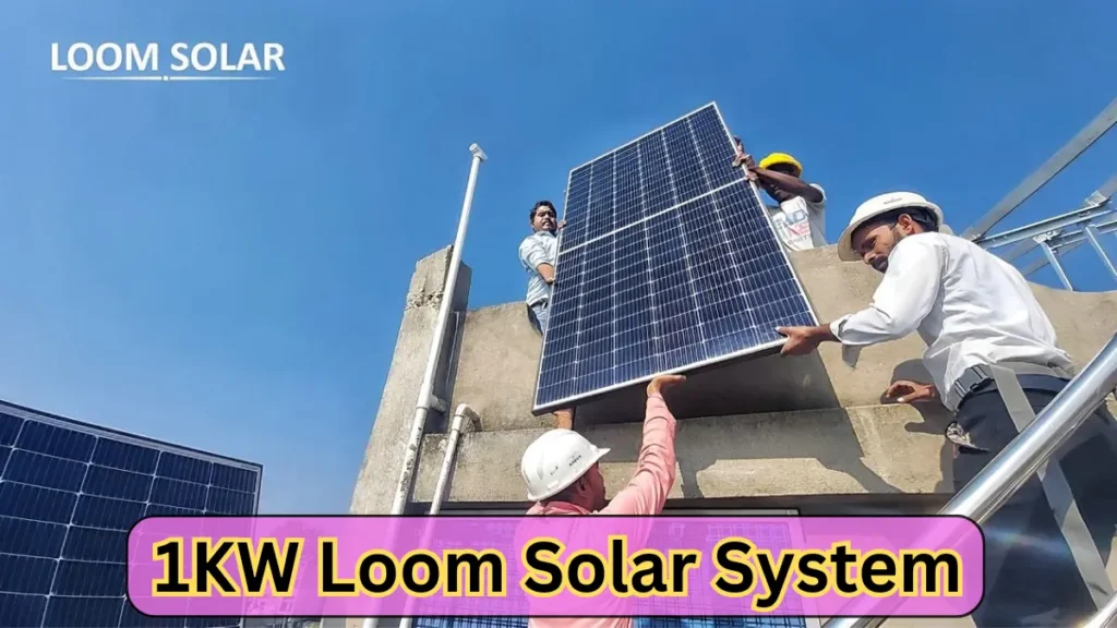 1KW Loom Solar System