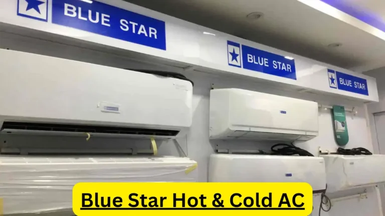 Blue Star Hot & Cold AC